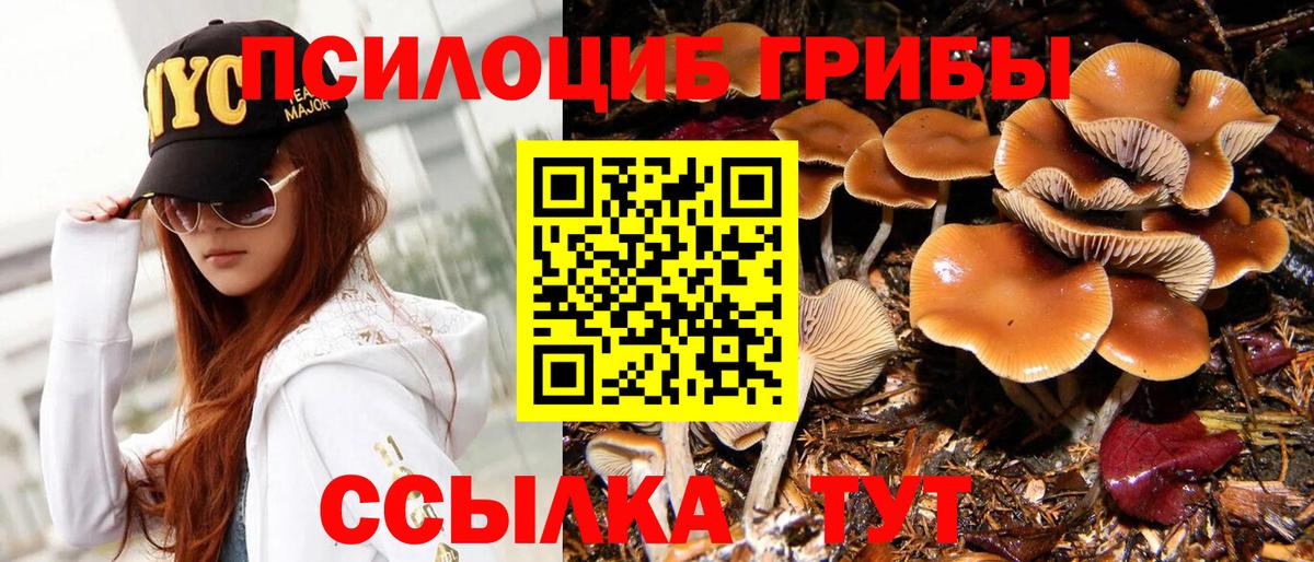 наркотики  Вход с VPN  Полевской  Галлюциногенные грибы Psilocybe 